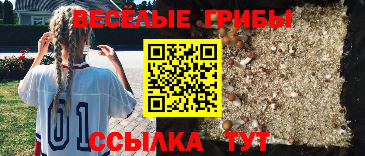 Галлюциногенные грибы Magic Shrooms  Галлюциногенные грибы ЛСД  Красногорск  Вход с VPN 