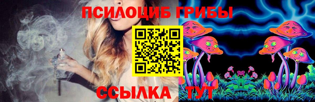 Галлюциногенные грибы Psilocybine cubensis Красногорск
